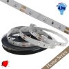 Ταινία LED Λευκή Home Series 5m 4.8W/m 12V 60LED/m 3528 SMD 200lm/m 120° IP20 Κόκκινο GloboStar 33403