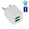 Φορτιστής USB 2 Θέσεων Wall Adapter 2.1A & 1A 5V DC Λευκός με Χρώμιο GloboStar 69996