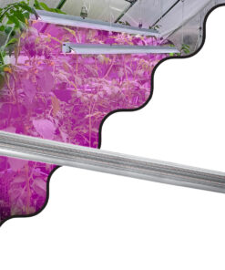 GloboStar® GloboStar® 85958 Linear Grow Light Full Spectrum LED Γραμμικό Φωτιστικό Ανάπτυξης Φυτών Θερμοκηπίου 120cm SMD 2835 200W 120° AC230V IP54 Εσωτερικού Χώρου για Κάλυψη Επιφάνειας 1.2m x 1.2m Πλήρους Φάσματος Φωτισμού