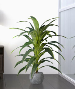 GloboStar® Artificial Garden BRAZILIAN IRON 20020 - Τεχνητό Διακοσμητικό Φυτό Αρωματική Δράκαινα Υ140cm 9 15e818 20020 20459