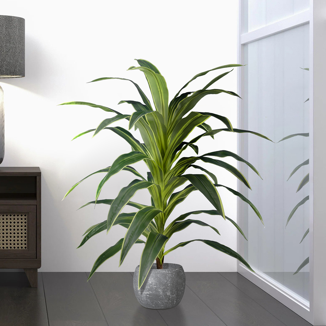 GloboStar® Artificial Garden BRAZILIAN IRON 20020 - Τεχνητό Διακοσμητικό Φυτό Αρωματική Δράκαινα Υ140cm 6 GloboStar® Artificial Garden BRAZILIAN IRON 20020 - Τεχνητό Διακοσμητικό Φυτό Αρωματική Δράκαινα Υ140cm - Image 4