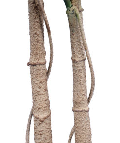 GloboStar® Artificial Garden MONSTERA PLANT 20005 - Τεχνητό Διακοσμητικό Φυτό Μονστέρα Υ110cm 9 20005 4