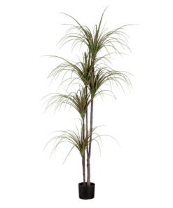 GloboStar® GloboStar® Artificial Garden DRAGON BLOOD TREE 20016 - Τεχνητό Διακοσμητικό Φυτό Δράκαινα Υ180cm