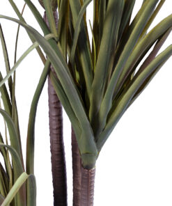 Alternative view of GloboStar® Artificial Garden DRAGON BLOOD TREE 20016 - Τεχνητό Διακοσμητικό Φυτό Δράκαινα Υ180cm