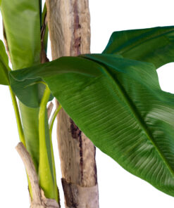 Alternative view of GloboStar® Artificial Garden BANANA TREE 20017 - Tεχνητό Διακοσμητικό Φυτό Μπανανιά - Μπανανόδεντρο Υ180cm