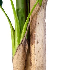 GloboStar® Artificial Garden BANANA TREE 20018 - Τεχνητό Διακοσμητικό Φυτό Μπανανιά - Μπανανόδεντρο Υ240cm 9 20018 4