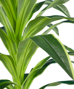 Alternative view of GloboStar® Artificial Garden BRAZILIAN IRON 20020 - Τεχνητό Διακοσμητικό Φυτό Αρωματική Δράκαινα Υ140cm