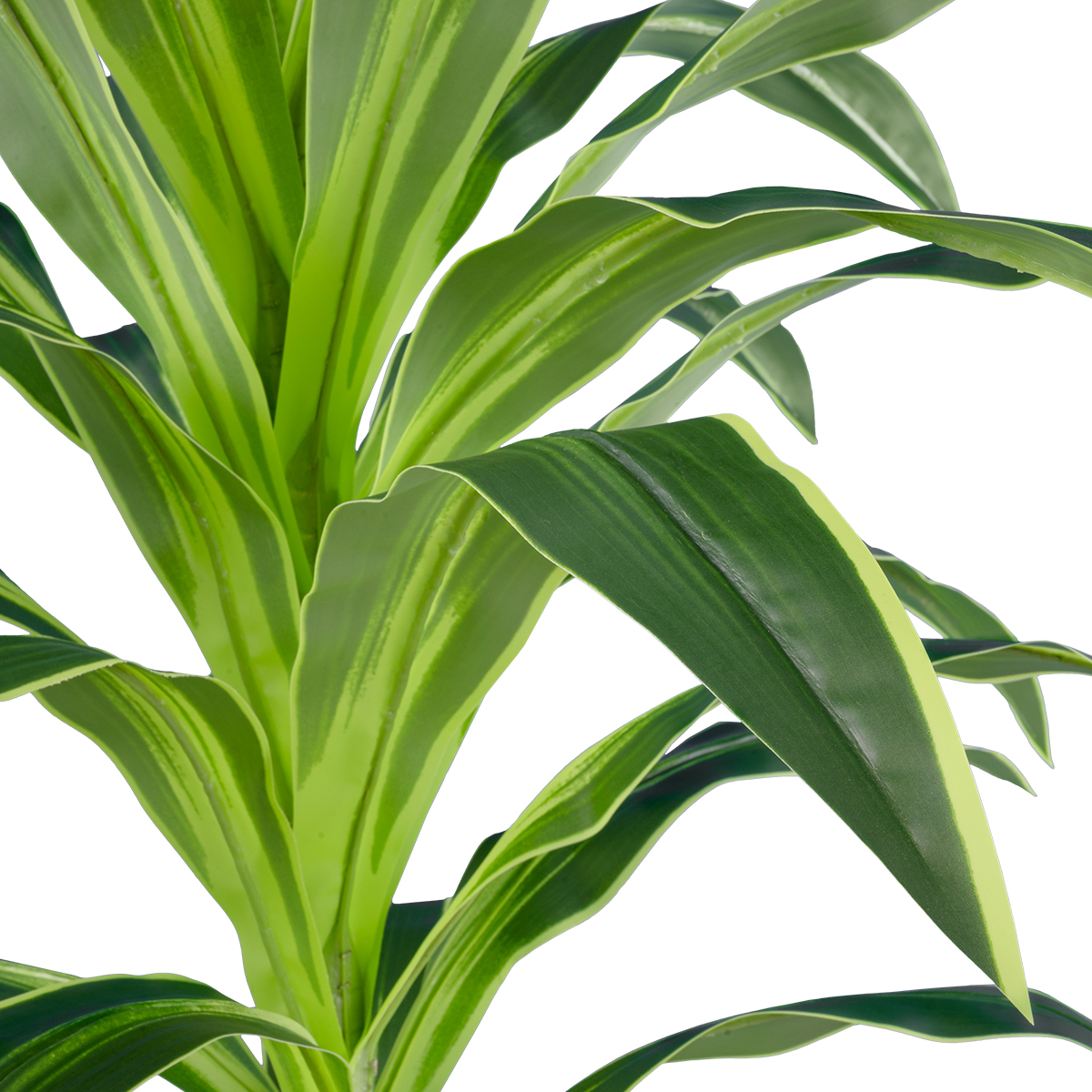 GloboStar® Artificial Garden BRAZILIAN IRON 20020 - Τεχνητό Διακοσμητικό Φυτό Αρωματική Δράκαινα Υ140cm 4 GloboStar® Artificial Garden BRAZILIAN IRON 20020 - Τεχνητό Διακοσμητικό Φυτό Αρωματική Δράκαινα Υ140cm - Image 2