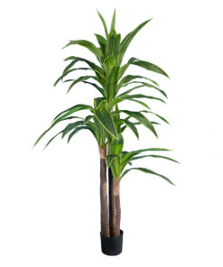 GloboStar® GloboStar® Artificial Garden BRAZILIAN IRON 20021 - Τεχνητό Διακοσμητικό Φυτό Αρωματική Δράκαινα Υ180cm