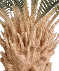 GloboStar® Artificial Garden CYCADS 20022 Τεχνητό Διακοσμητικό Φυτό Αρωματική Κύκας Υ120cm 8 20022 4