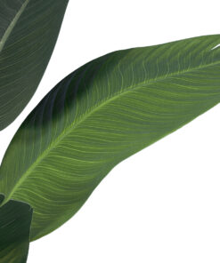 Alternative view of GloboStar® Artificial Garden STRELITZIA 20024 Τεχνητό Διακοσμητικό Φυτό  Στρελίτσια - Πουλί του Παραδείσου Υ90cm