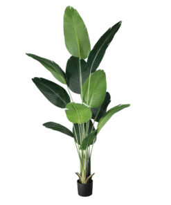 GloboStar® GloboStar® Artificial Garden STRELITZIA 20026 Τεχνητό Διακοσμητικό Φυτό Στρελίτσια - Πουλί του Παραδείσου Υ180cm
