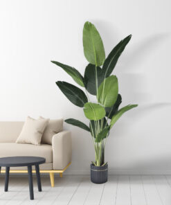 GloboStar® Artificial Garden STRELITZIA 20026 Τεχνητό Διακοσμητικό Φυτό Στρελίτσια - Πουλί του Παραδείσου Υ180cm 9 20026 20457