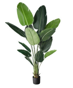 GloboStar® GloboStar® Artificial Garden STRELITZIA 20027 Τεχνητό Διακοσμητικό Φυτό  Στρελίτσια - Πουλί του Παραδείσου Υ200cm