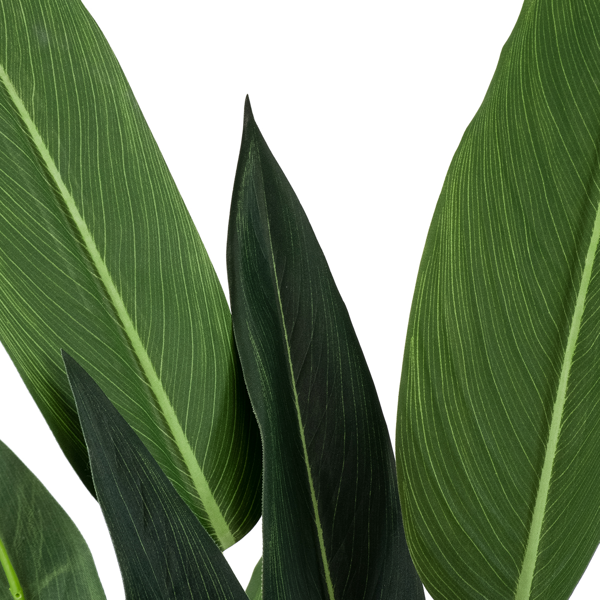 GloboStar® Artificial Garden STRELITZIA 20028 Τεχνητό Διακοσμητικό Φυτό Στρελίτσια - Πουλί του Παραδείσου Υ120cm 4 GloboStar® Artificial Garden STRELITZIA 20028 Τεχνητό Διακοσμητικό Φυτό Στρελίτσια - Πουλί του Παραδείσου Υ120cm - Image 2