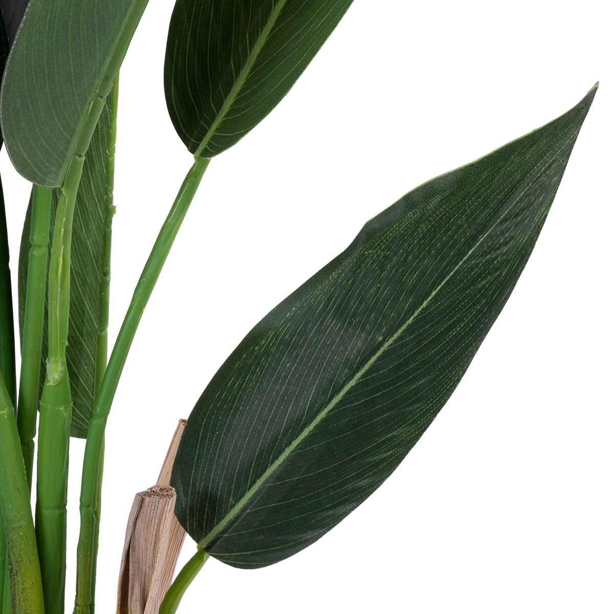 GloboStar® Artificial Garden STRELITZIA 20028 Τεχνητό Διακοσμητικό Φυτό Στρελίτσια - Πουλί του Παραδείσου Υ120cm 5 GloboStar® Artificial Garden STRELITZIA 20028 Τεχνητό Διακοσμητικό Φυτό Στρελίτσια - Πουλί του Παραδείσου Υ120cm - Image 3