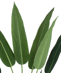 Alternative view of GloboStar® Artificial Garden STRELITZIA 20029 Τεχνητό Διακοσμητικό Φυτό  Στρελίτσια - Πουλί του Παραδείσου Υ140cm