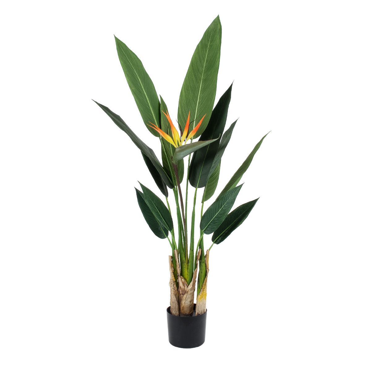 GloboStar® Artificial Garden STRELITZIA REGINAE 20031 Τεχνητό Διακοσμητικό Φυτό Στρελίτσια - Πουλί του Παραδείσου Υ120cm 3 GloboStar® GloboStar® Artificial Garden STRELITZIA REGINAE 20031 Τεχνητό Διακοσμητικό Φυτό Στρελίτσια - Πουλί του Παραδείσου Υ120cm