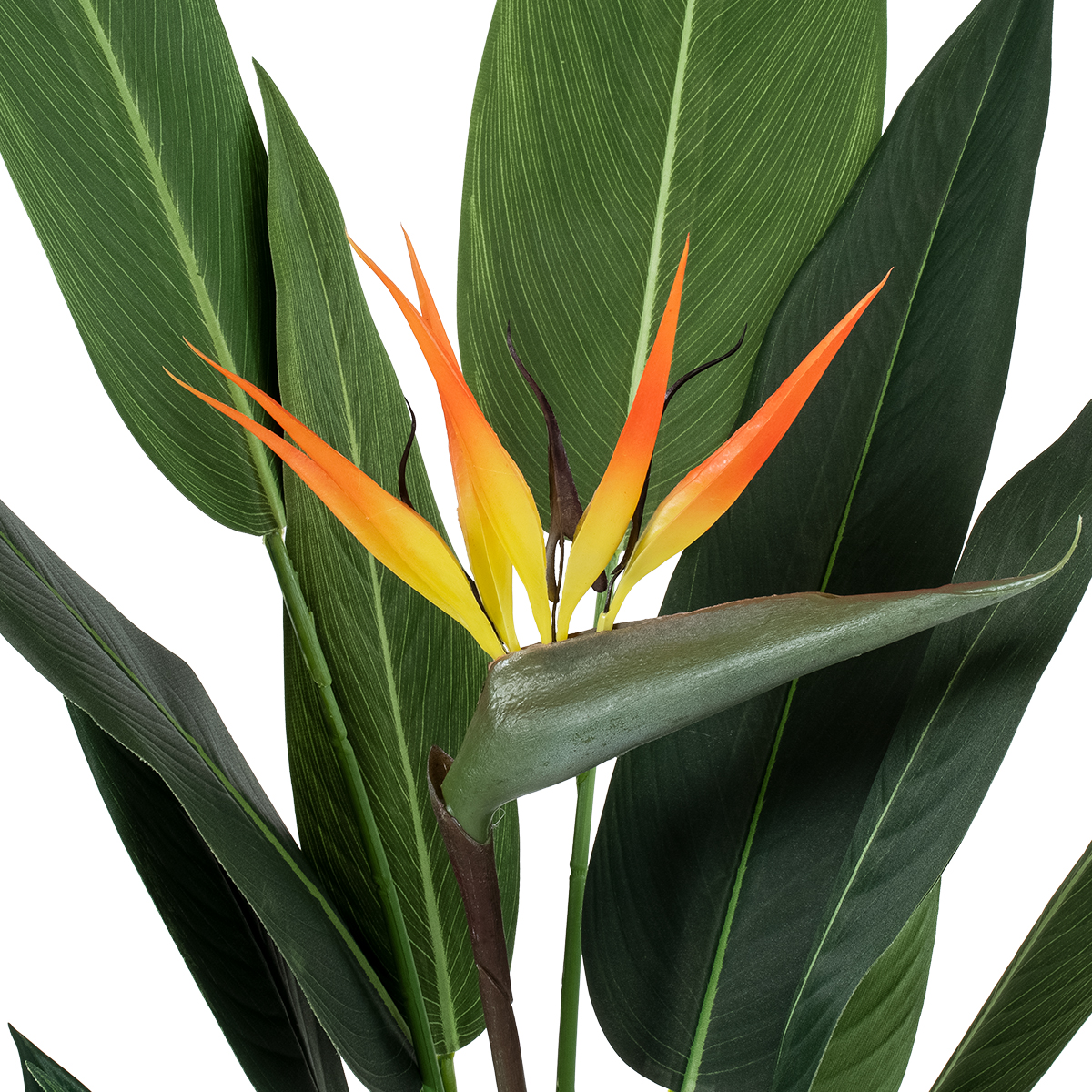 GloboStar® Artificial Garden STRELITZIA REGINAE 20031 Τεχνητό Διακοσμητικό Φυτό Στρελίτσια - Πουλί του Παραδείσου Υ120cm 5 GloboStar® Artificial Garden STRELITZIA REGINAE 20031 Τεχνητό Διακοσμητικό Φυτό Στρελίτσια - Πουλί του Παραδείσου Υ120cm - Image 3