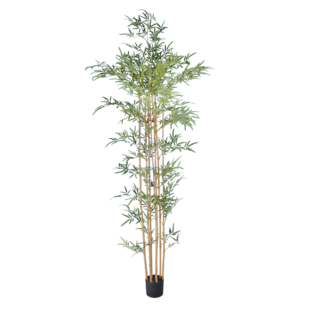 GloboStar® Artificial Garden BAMBOO 20037 Τεχνητό Διακοσμητικό Φυτό Μπαμπού Υ250cm 3 GloboStar® GloboStar® Artificial Garden BAMBOO 20037 Τεχνητό Διακοσμητικό Φυτό Μπαμπού Υ250cm
