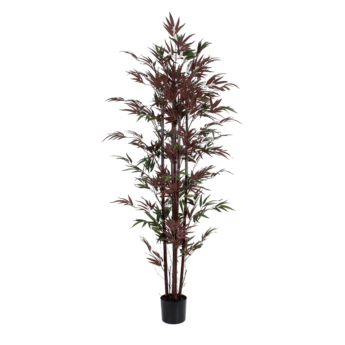 GloboStar® Artificial Garden BLOODLEAF BAMBOO 20039 Τεχνητό Διακοσμητικό Φυτό Αιματόφυλλο Μπαμπού Υ170cm 3 GloboStar® GloboStar® Artificial Garden BLOODLEAF BAMBOO 20039 Τεχνητό Διακοσμητικό Φυτό Αιματόφυλλο Μπαμπού Υ170cm