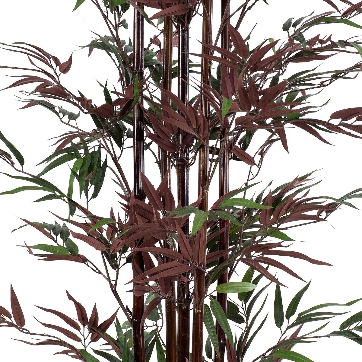 GloboStar® Artificial Garden BLOODLEAF BAMBOO 20039 Τεχνητό Διακοσμητικό Φυτό Αιματόφυλλο Μπαμπού Υ170cm 4 GloboStar® Artificial Garden BLOODLEAF BAMBOO 20039 Τεχνητό Διακοσμητικό Φυτό Αιματόφυλλο Μπαμπού Υ170cm - Image 2