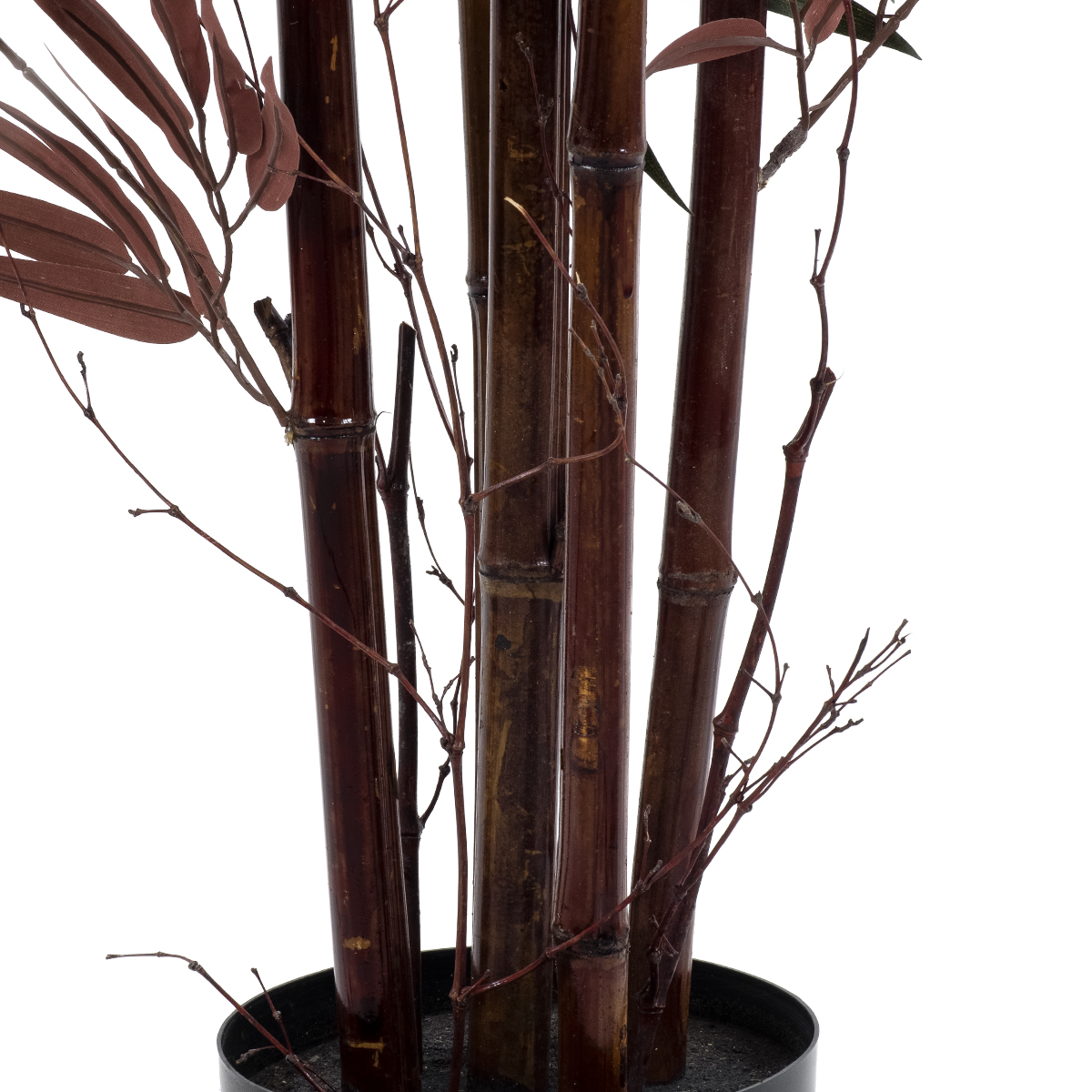 GloboStar® Artificial Garden BLOODLEAF BAMBOO 20039 Τεχνητό Διακοσμητικό Φυτό Αιματόφυλλο Μπαμπού Υ170cm 5 GloboStar® Artificial Garden BLOODLEAF BAMBOO 20039 Τεχνητό Διακοσμητικό Φυτό Αιματόφυλλο Μπαμπού Υ170cm - Image 3