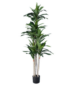 GloboStar® GloboStar® Artificial Garden DRACAENA SILK 20044 - Τεχνητό Διακοσμητικό Φυτό Δράκαινα Υ170cm