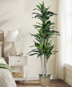 GloboStar® Artificial Garden DRACAENA SILK 20044 - Τεχνητό Διακοσμητικό Φυτό Δράκαινα Υ170cm 11 20044 20327