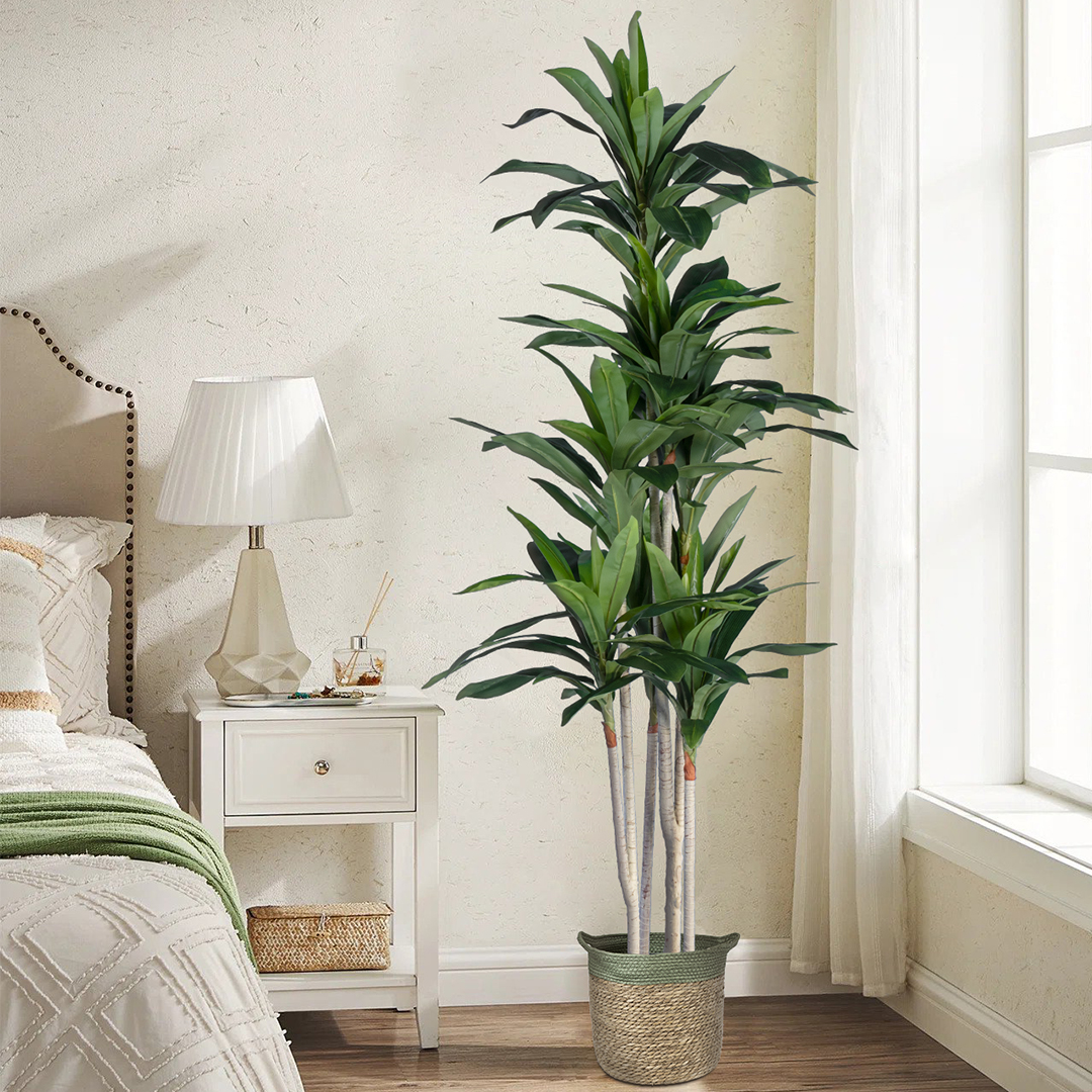 GloboStar® Artificial Garden DRACAENA SILK 20044 - Τεχνητό Διακοσμητικό Φυτό Δράκαινα Υ170cm 7 GloboStar® Artificial Garden DRACAENA SILK 20044 - Τεχνητό Διακοσμητικό Φυτό Δράκαινα Υ170cm - Image 5