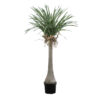 GloboStar® GloboStar® Artificial Garden BEAUCARNEA PALM TREE 20046 Τεχνητό Διακοσμητικό Φυτό Κυρτόφυλλος Μπουκαρνέα Υ165cm