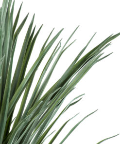 Alternative view of GloboStar® Artificial Garden BEAUCARNEA PALM TREE 20047 Τεχνητό Διακοσμητικό Φυτό Κυρτόφυλλος Μπουκαρνέα Υ200cm