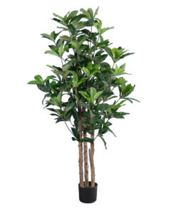 GloboStar® GloboStar® Artificial Garden FORTUNE GUIANA TREE 20056 Τεχνητό Διακοσμητικό Φυτό Καστανιά του Μαλαμπάρ Υ160cm