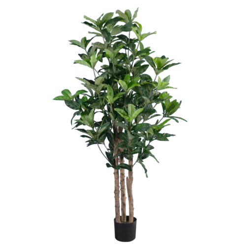 GloboStar® GloboStar® Artificial Garden FORTUNE GUIANA TREE 20056 Τεχνητό Διακοσμητικό Φυτό Καστανιά του Μαλαμπάρ Υ160cm