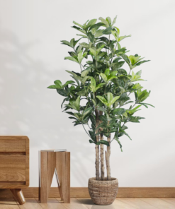 GloboStar® Artificial Garden FORTUNE GUIANA TREE 20056 Τεχνητό Διακοσμητικό Φυτό Καστανιά του Μαλαμπάρ Υ160cm 9 20056 20337