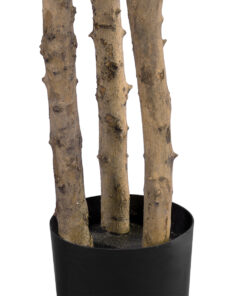 GloboStar® Artificial Garden FORTUNE GUIANA TREE 20056 Τεχνητό Διακοσμητικό Φυτό Καστανιά του Μαλαμπάρ Υ160cm 8 20056 3