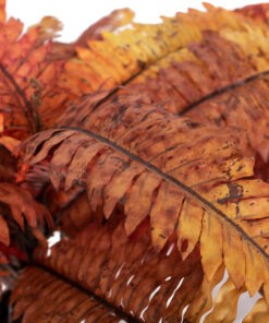 Alternative view of GloboStar® Artificial Garden BLOODY FERN 20057 Τεχνητό Διακοσμητικό Φυτό Αιματόφυλλη Φτέρη Υ40cm