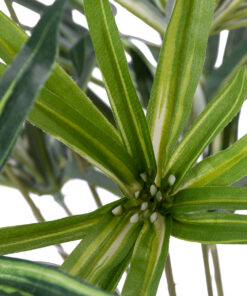 Alternative view of GloboStar® Artificial Garden BROADLEAF LADY PALM 20059 Τεχνητό Διακοσμητικό Φυτό Πλατύφυλλος Φοίνικας Μπαμπού Υ50cm