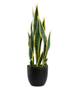 GloboStar® GloboStar® Artificial Garden BLOODLEAF DRACAENA TRIFASCIATA 20060 Τεχνητό Διακοσμητικό Φυτό Αιματόφυλλη Σανσεβιέρια Υ70cm