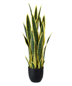 GloboStar® GloboStar® Artificial Garden BLOODLEAF DRACAENA TRIFASCIATA 20061 Τεχνητό Διακοσμητικό Φυτό Αιματόφυλλη Σανσεβιέρια Υ90cm