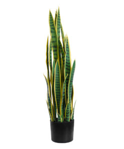 GloboStar® GloboStar® Artificial Garden BLOODLEAF DRACAENA TRIFASCIATA 20062 Τεχνητό Διακοσμητικό Φυτό Αιματόφυλλη Σανσεβιέρια Υ100cm