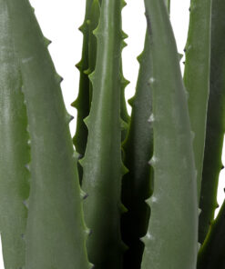 Alternative view of GloboStar® Artificial Garden ALOE 20064 Τεχνητό Διακοσμητικό Φυτό Αλόη Υ38cm