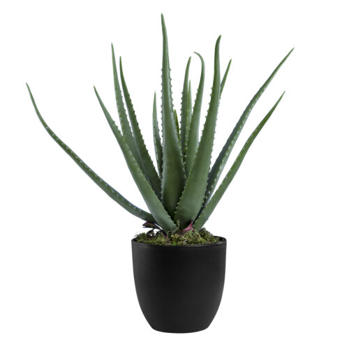 GloboStar® GloboStar® Artificial Garden ALOE 20065 Τεχνητό Διακοσμητικό Φυτό Αλόη Υ50cm