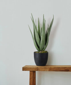GloboStar® Artificial Garden ALOE 20066 Τεχνητό Διακοσμητικό Φυτό Αλόη Υ65cm 9 20066