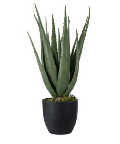 GloboStar® GloboStar® Artificial Garden ALOE 20066 Τεχνητό Διακοσμητικό Φυτό Αλόη Υ65cm