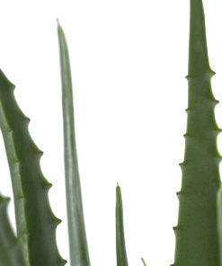 Alternative view of GloboStar® Artificial Garden ALOE 20066 Τεχνητό Διακοσμητικό Φυτό Αλόη Υ65cm