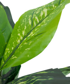 Alternative view of GloboStar® Artificial Garden ROHDEA JAPONICA 20067 Τεχνητό Διακοσμητικό Φυτό Ιαπωνέζικη Ροδέα Υ80cm