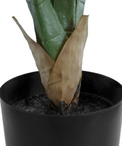 GloboStar® Artificial Garden ROHDEA JAPONICA 20067 Τεχνητό Διακοσμητικό Φυτό Ιαπωνέζικη Ροδέα Υ80cm 8 20067 4