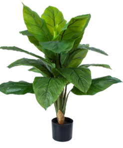 GloboStar® GloboStar® Artificial Garden ROHDEA JAPONICA 20068 Τεχνητό Διακοσμητικό Φυτό Ιαπωνέζικη Ροδέα Υ80cm