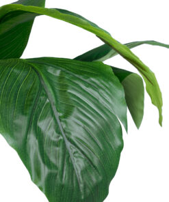 Alternative view of GloboStar® Artificial Garden ROHDEA JAPONICA 20068 Τεχνητό Διακοσμητικό Φυτό Ιαπωνέζικη Ροδέα Υ80cm